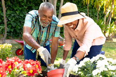 Make Your Move to Wellness: A Holistic Approach to Senior Living