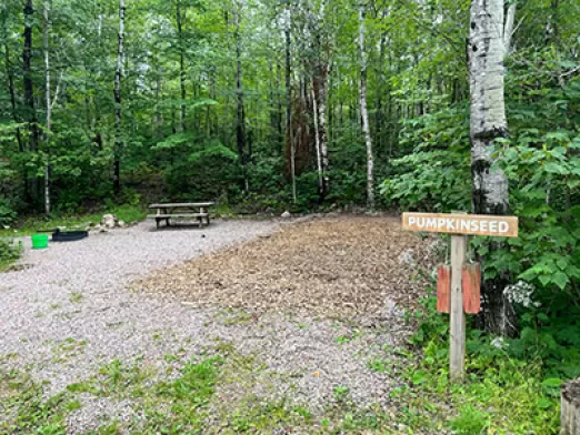 Pumpkinseed Auto Tent Site