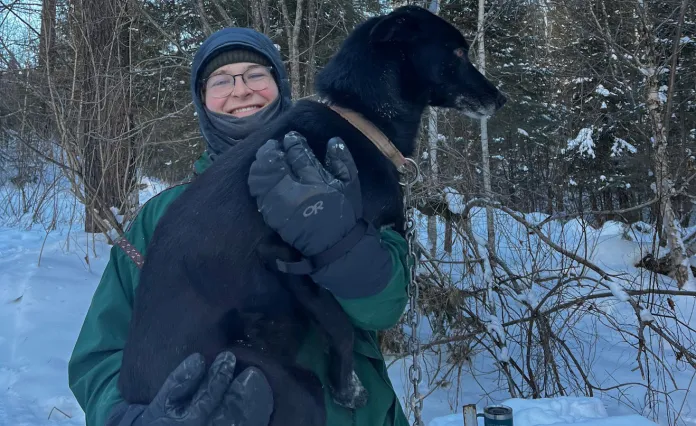 Dog Sledding at Menogyn