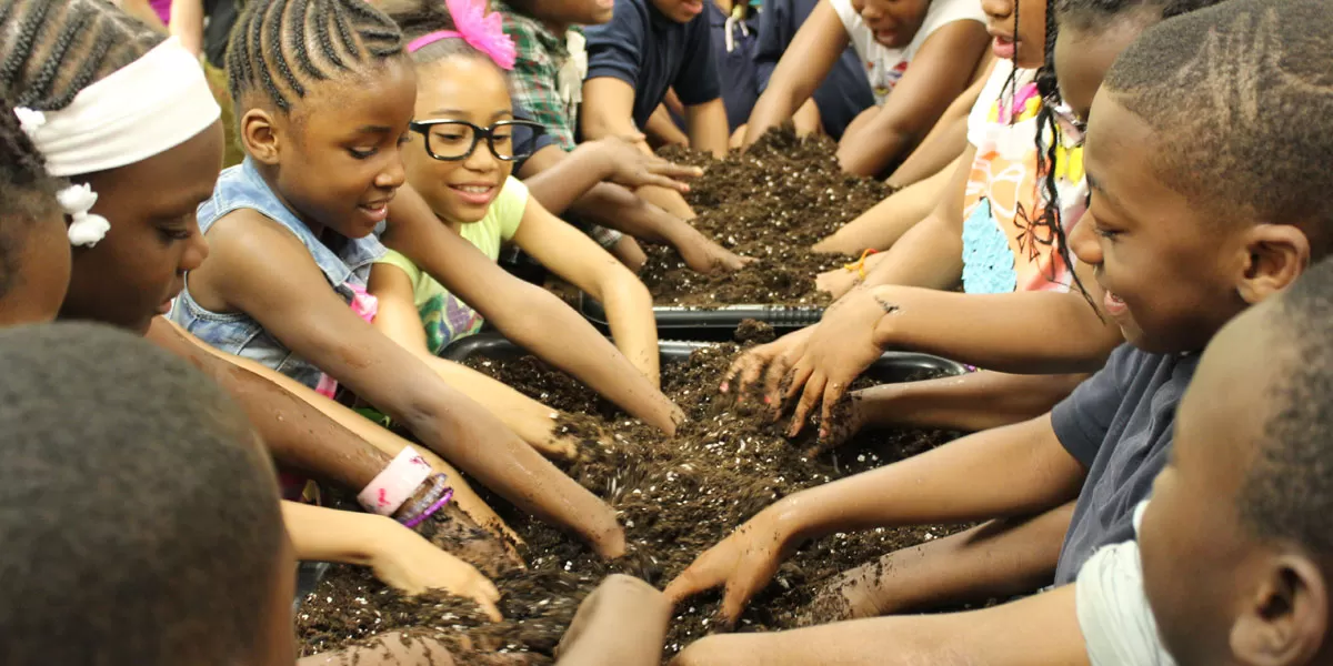 Planting Seeds for healthier tomorrows at the Harold Mezile North Community YMCA