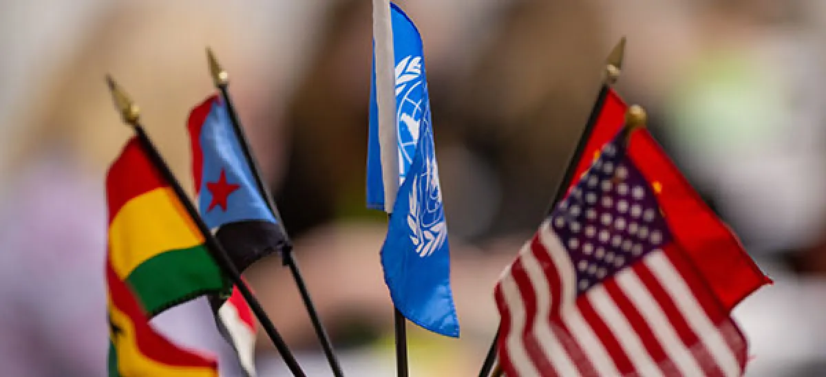 Center for Youth Voice - Model UN