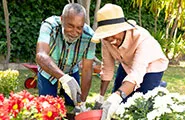 Make Your Move to Wellness: A Holistic Approach to Senior Living