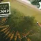 Letters From Camp Magazine - The Y