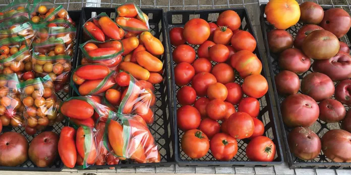Camp St. Croix vegetables on sale