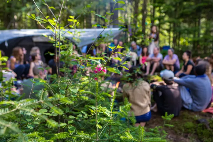 Group gathered in the woods