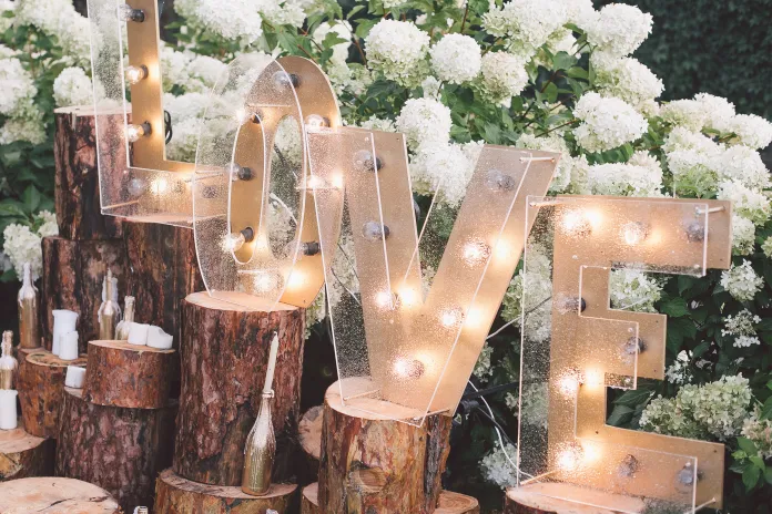 Nature Themed Decorative Setting
