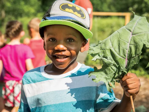 Boy holding vegetable leaf in garden