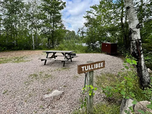 Tullibee
