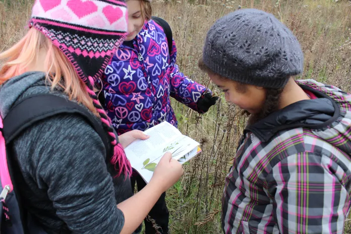 Three girls identifying plants