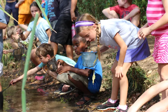 Kids collecting samples at a creek
