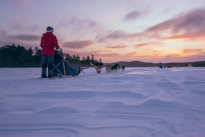 Dogsledding teams run toward the horizon