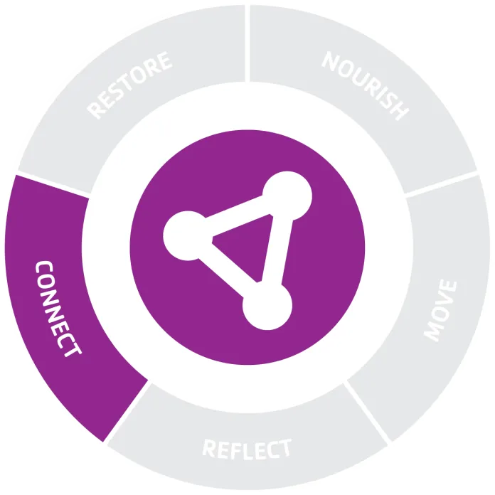 Connect icon