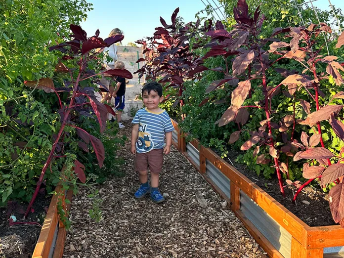 Boy in the Farm garden at Harvest Fest